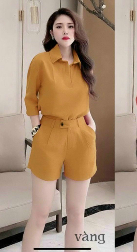 [HCM]Set bộ  kiểu nữ quần đùi áo sơ mi cài nút tay dài chất đũi cao cấp