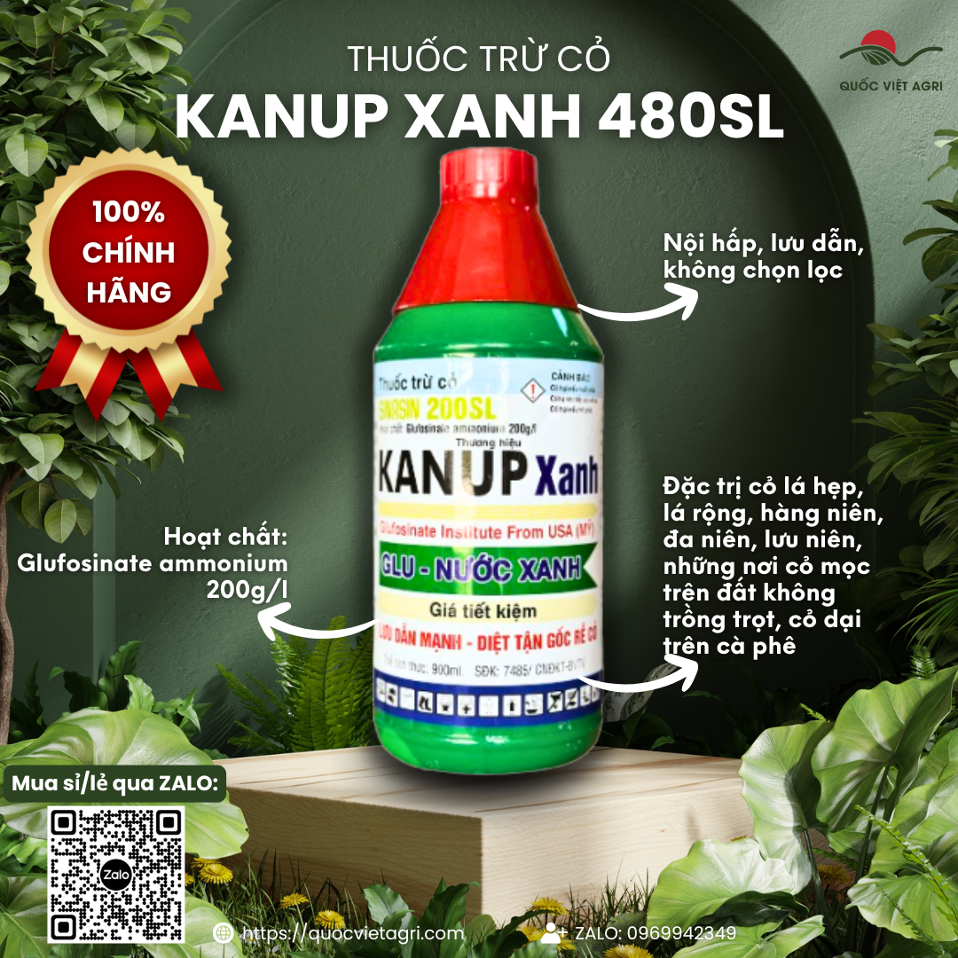 Thuốc trừ cỏ KANUP XANH 200SL chai 900ml GLU XANH SINASIN - Glufosinate ammonium 200g l Trừ cỏ lưu dẫn mạnh diệt tận gốc rễ cỏ