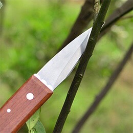 Dao chiết ghép cành cán gỗ- Dụng cụ Ghép Cây Chuyên Dụng - Chuyên dùng cho nhà vườn