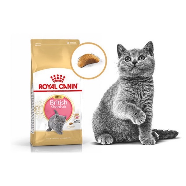 Thức ăn cho mèo Royal Canin British Shorthair Kitten. Dành cho mèo anh lông ngắn