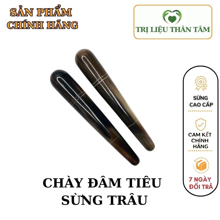Cây Chày Đâm Tiêu Dụng Cụ Diện Chẩn Bùi Quốc Châu