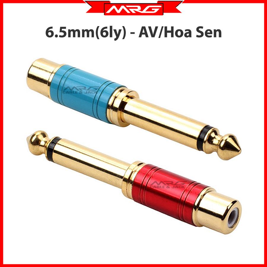 Jack Chuyển Đầu 6 Ly Ra AV Hoa Sen, giá 1 chiếc (6.5mm đực sang hoa sen cái) | đầu nối jack 6.5 sang