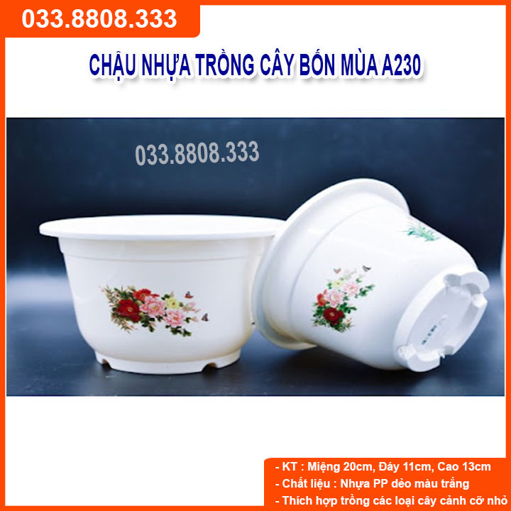 10 chậu nhựa bốn mùa a220 - chậu tròn trắng trồng hoa cây cảnh
