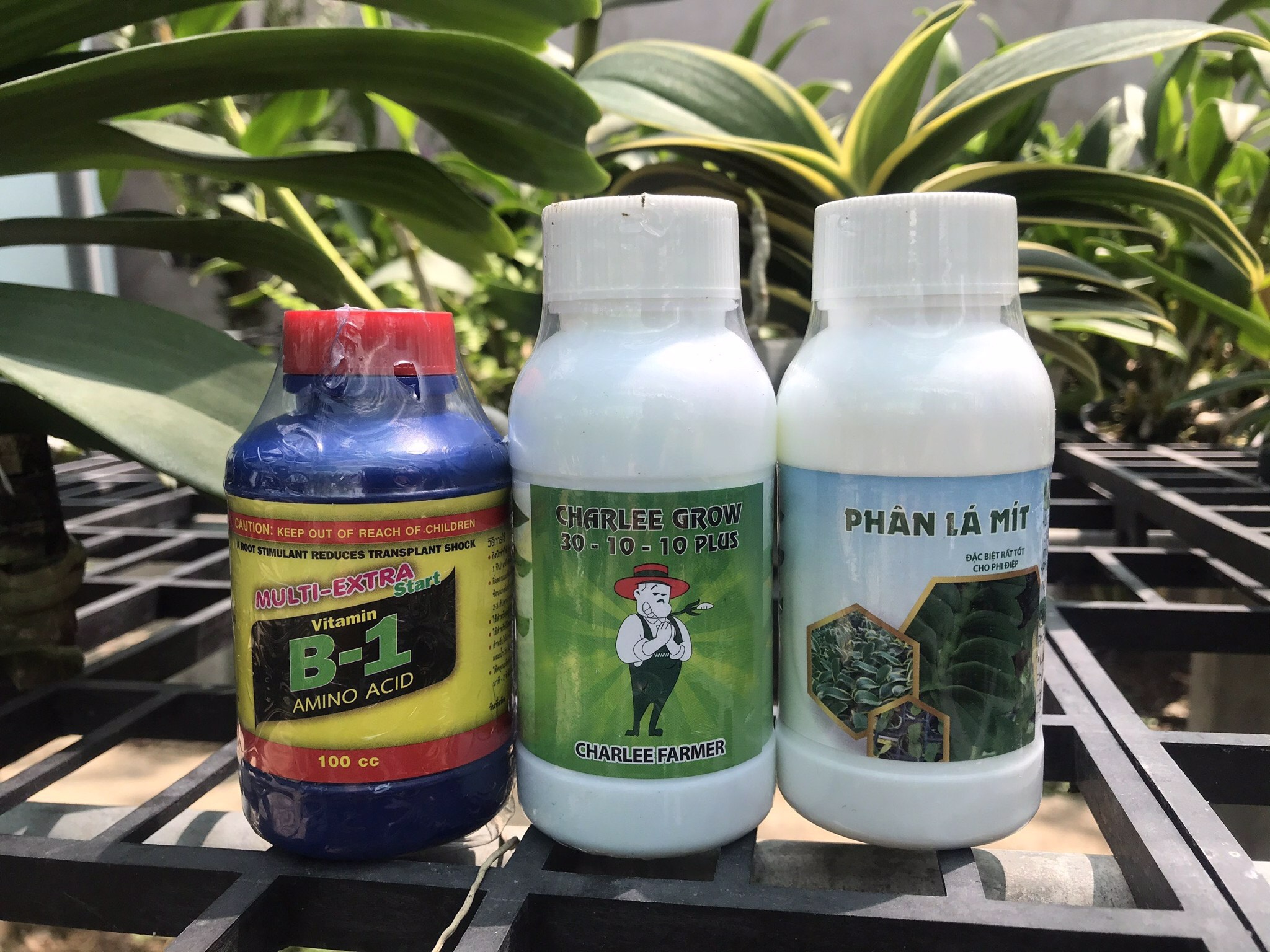 Combo dưỡng cây phân lá mít + b1 + 30-10-10