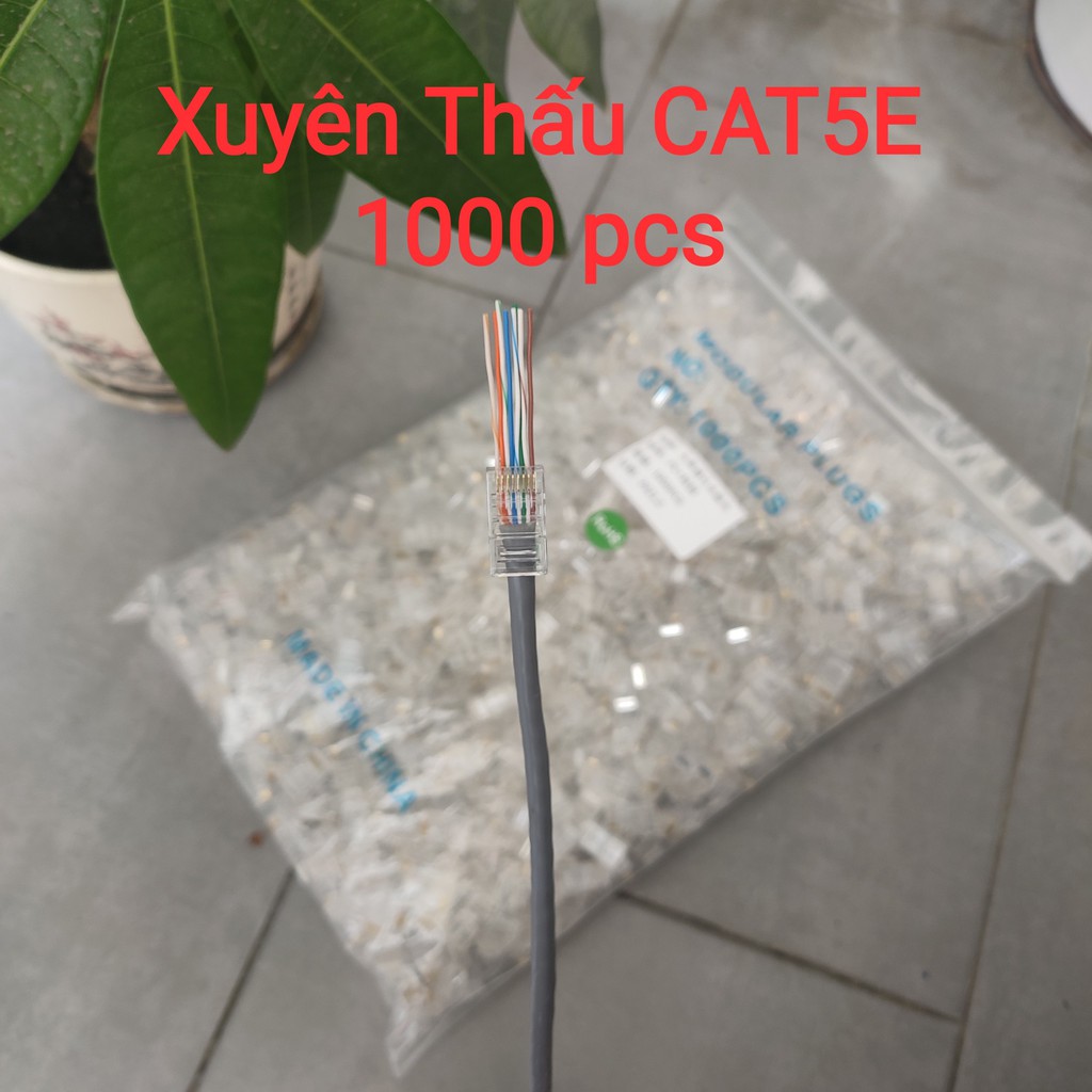 Đầu mạng xuyên thấu rj45 CAT5E chân tiếp xúc tốt
