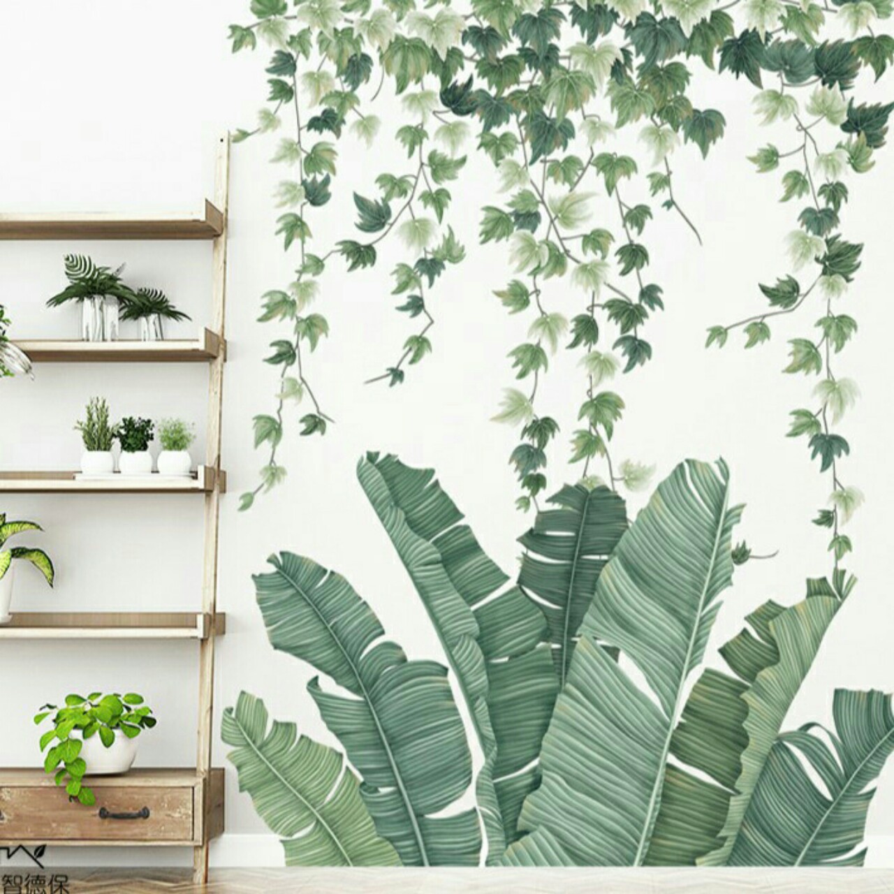 Decal dán tường trang trí phòng sẵn keo- Lá chuối thường xuân