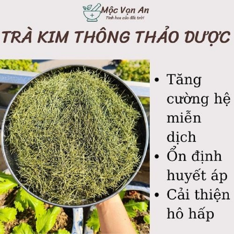 Lá thông sấy lạnh, lá kim thông sấy hữu cơ, trà kim thông