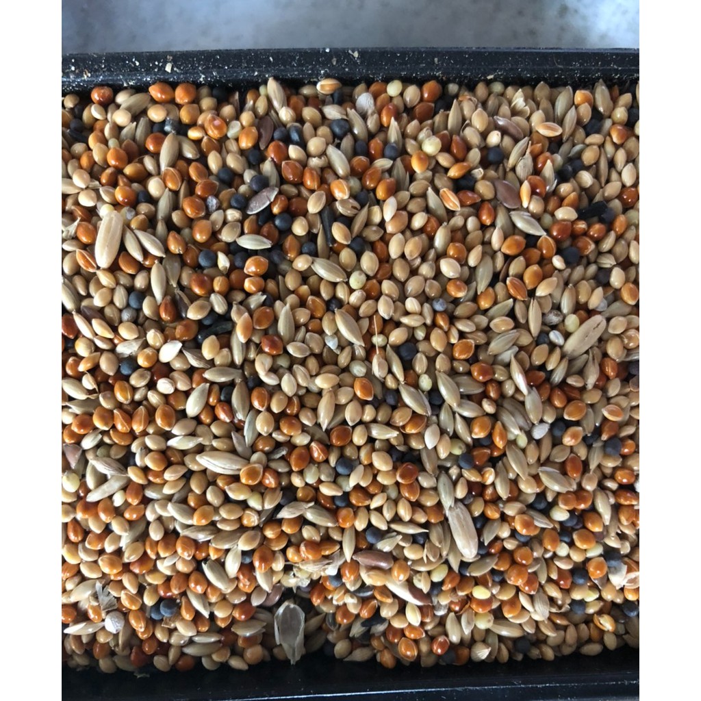 Hạt trộn cho yến phụng, prl, manh manh, 7 màu, finch gói 500g - 1kg