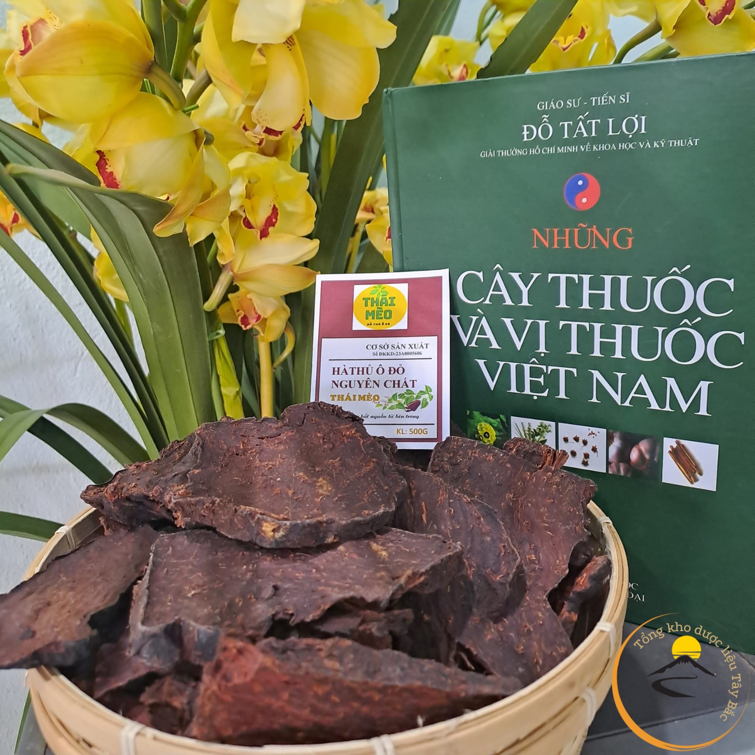 Hà thủ ô đỏ cửu chưng cửu sái loại thượng hạng làm viên hà thủ ô mật ong vừng rừng Tây Bắc tv