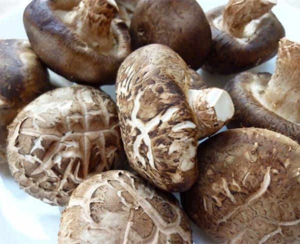 Nấm đông cô khô 1KG