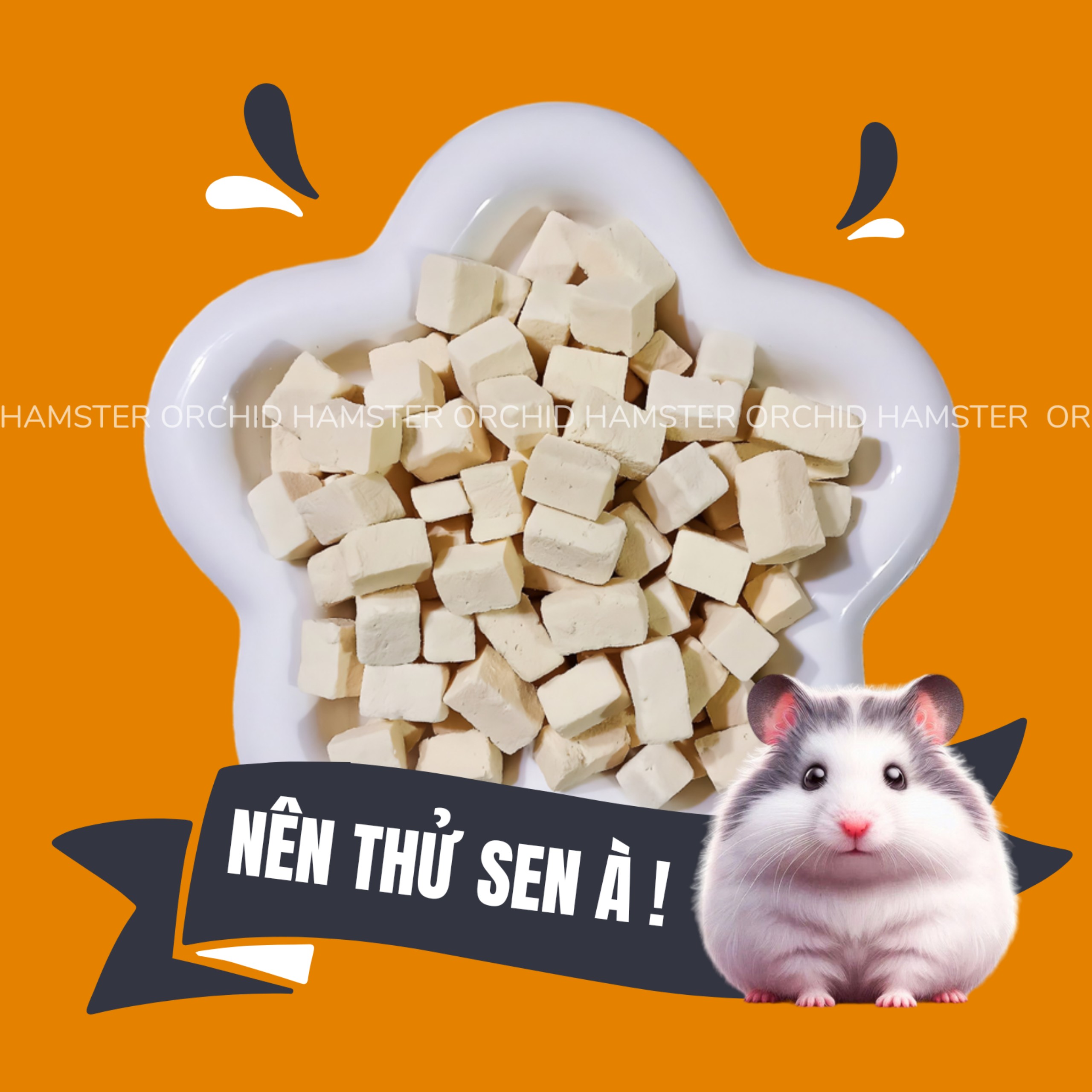Đậu hũ sấy lạnh cho hamster