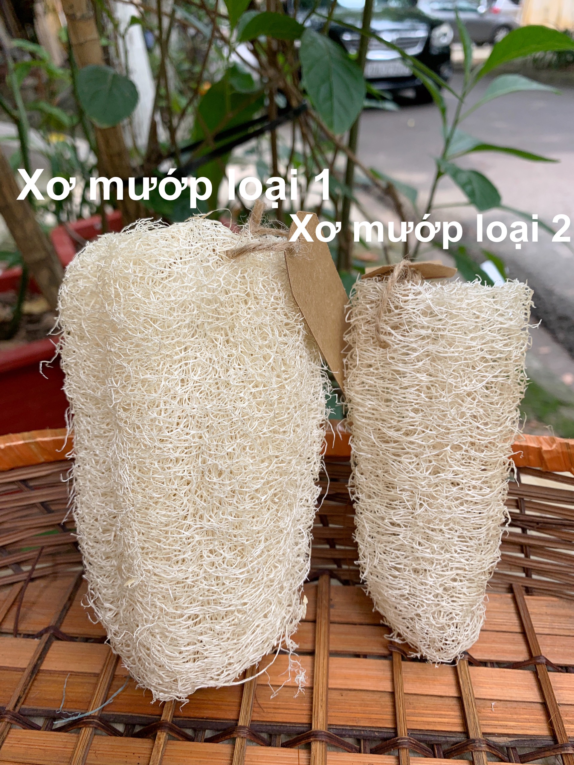 Bông tắm xơ mướp hữu cơ loại 1 - htx sinh dược