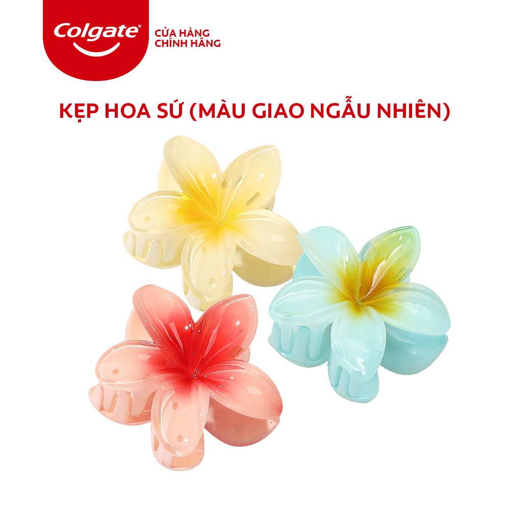 Kẹp hoa sứ