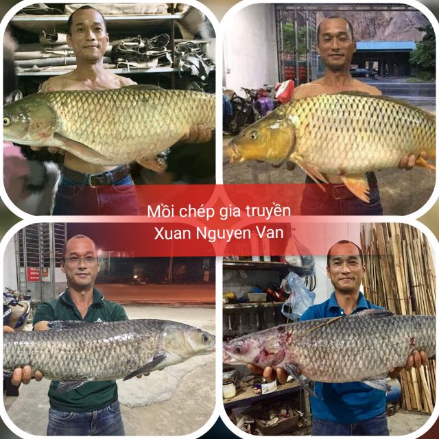 Mồi câu cá chép, trắm đen siêu nhạy công thức đặc biệt -Đặc sản Hòa Bình 28