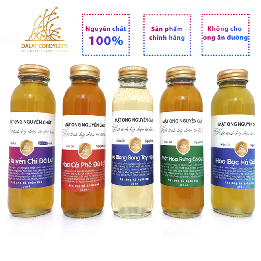Combo 5 loại mật ong nguyên chất hoa cà phê - hoa Xuyến Chi - hoa Bạc Hà - Hoa Blongsong - Mật ong hoa rừng - Dalat Cordyceps