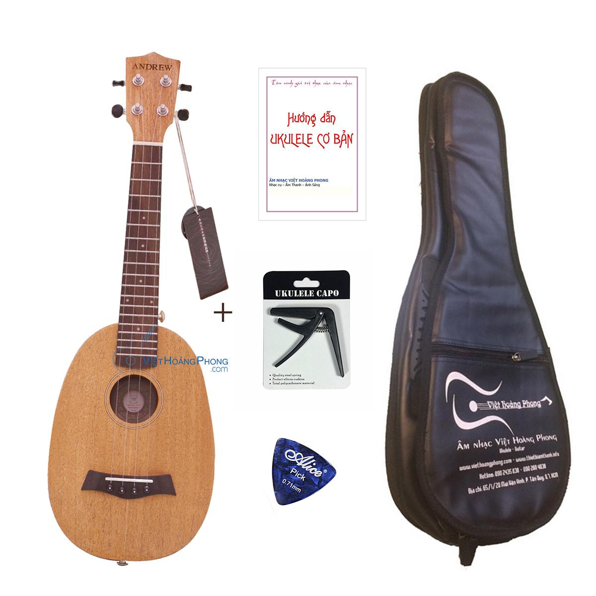 Đàn Ukulele Concert ANDREW MZ- 655 dáng bầu dục - Đàn Ukulele Dưa hấu (Tặng bộ phụ kiện) - Việt Hoàng Phong