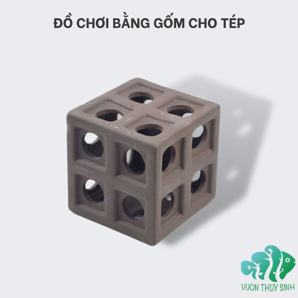 Hình lập phương đồ chơi tép cảnh và cá cảnh