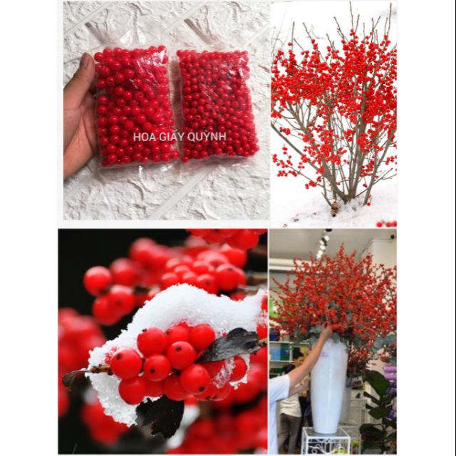 100gr hạt đỏ - bí kíp làm đào đông đỏ