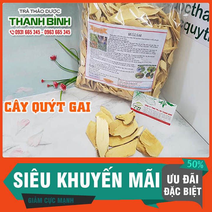 Cây quýt gai 1kg - hàng loại 1