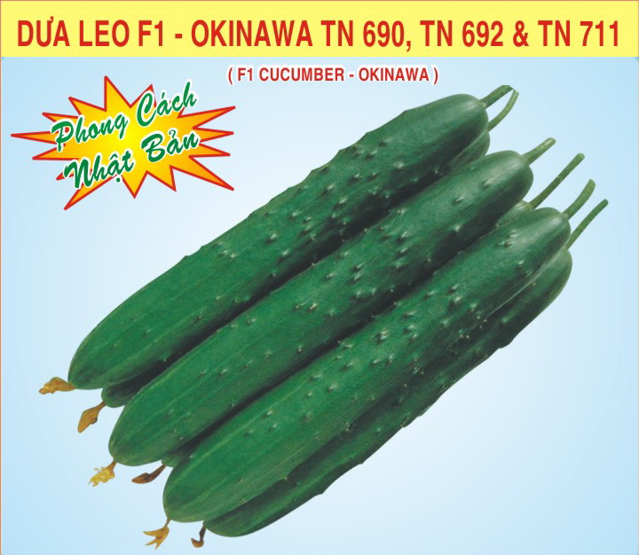 Hạt giống dưa leo f1 trang nông - okinawa tn 690