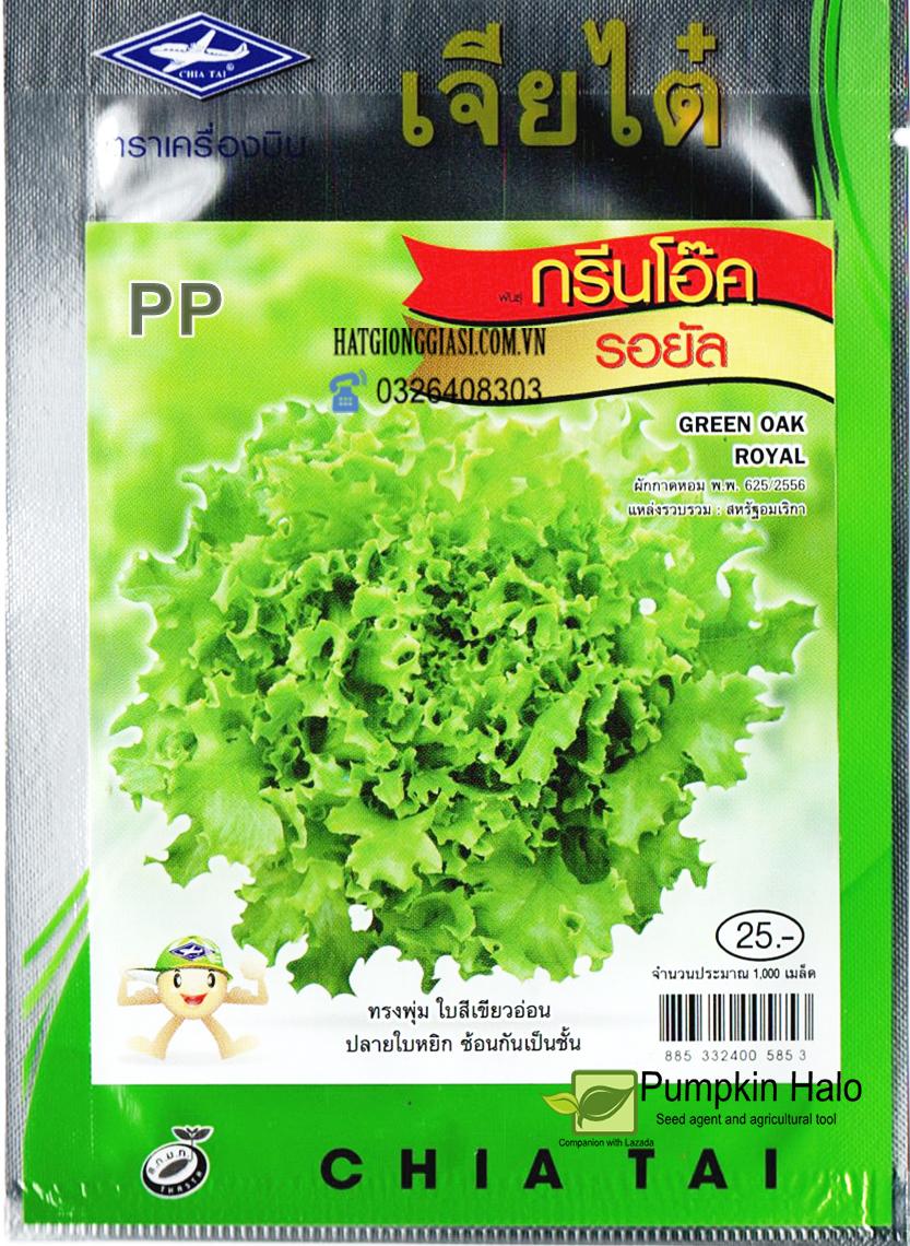 [HCM]GÓI 1000 Hạt - Hạt Giống Xà Lách Xoăn Xanh Thái Lan.TẶNG KÈM PHÂN BÓN 10GRAM Đặc tính : thân khỏe kháng bệnh năng suất cao phẩm chất ngon