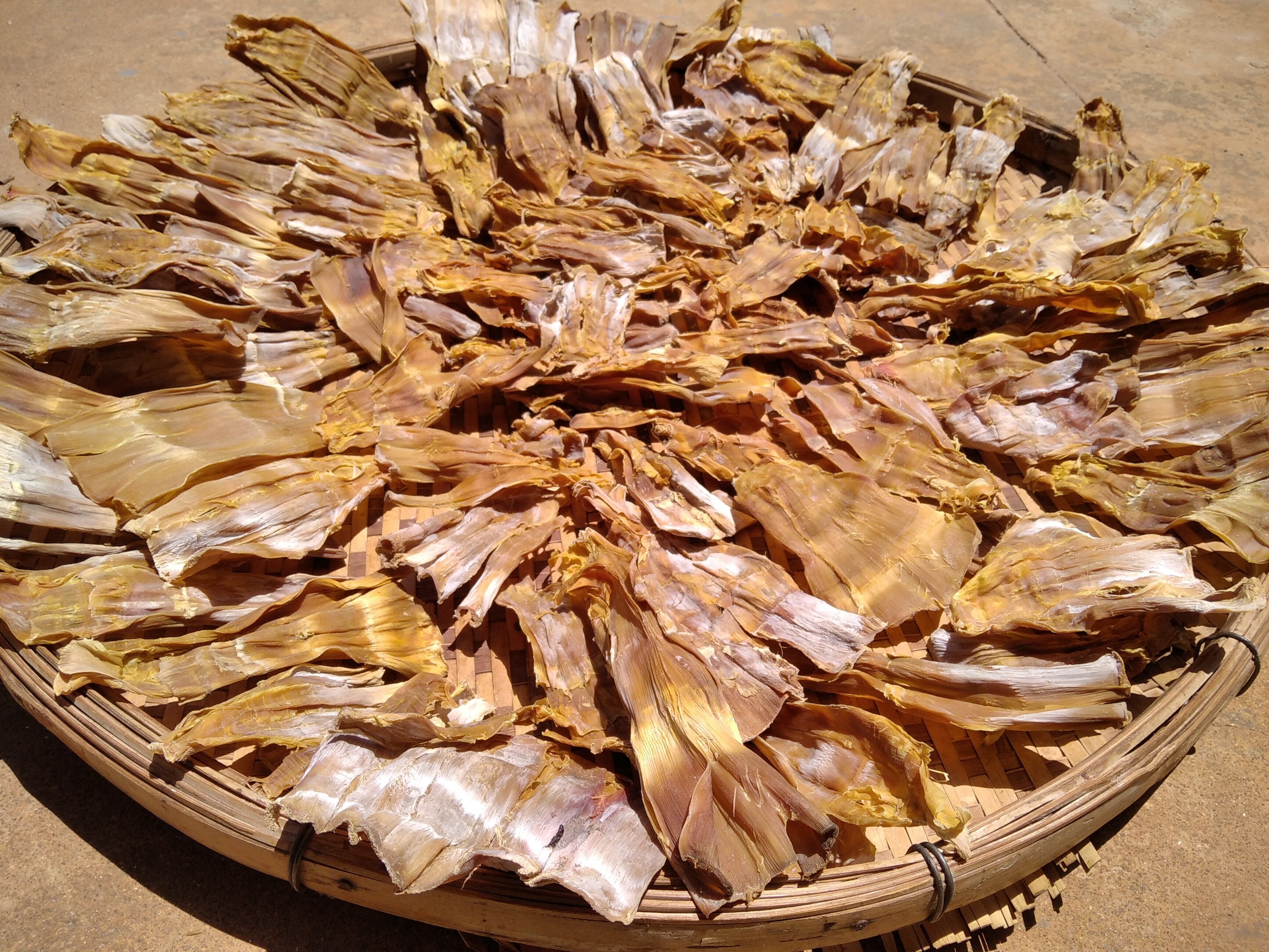 1KG MĂNG LE RỪNG ĐĂK LĂK PHƠI KHÔ
