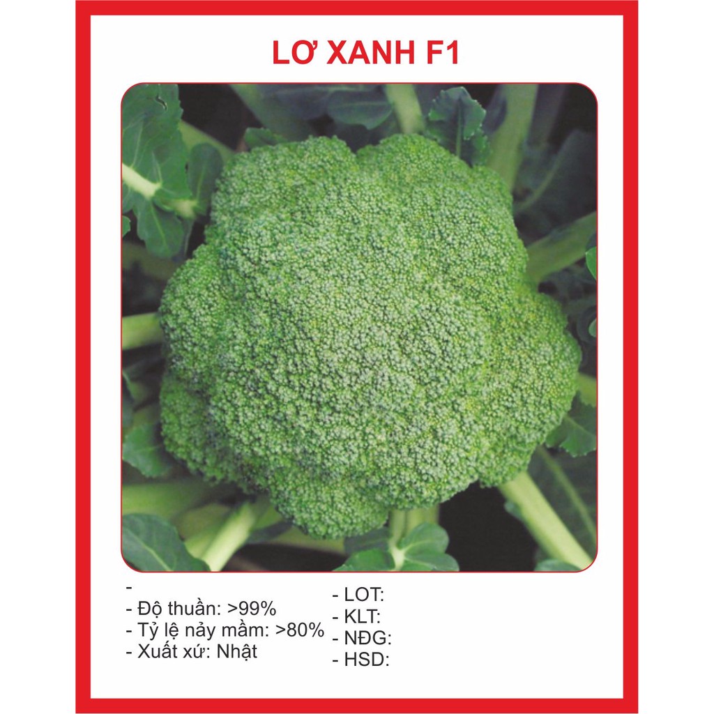 Hạt giống súp lơ xanh 0.2gr ~ 40 hạt