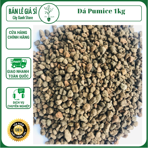 Đá Pumice cao cấp - Đá Anh Vũ nhập khẩu Indonesia chống úng rễ, dùng lót chậu, rải bề mặt sen đá, xương rồng, bonsai, lọc nước, bể thủy sinh, 1kg