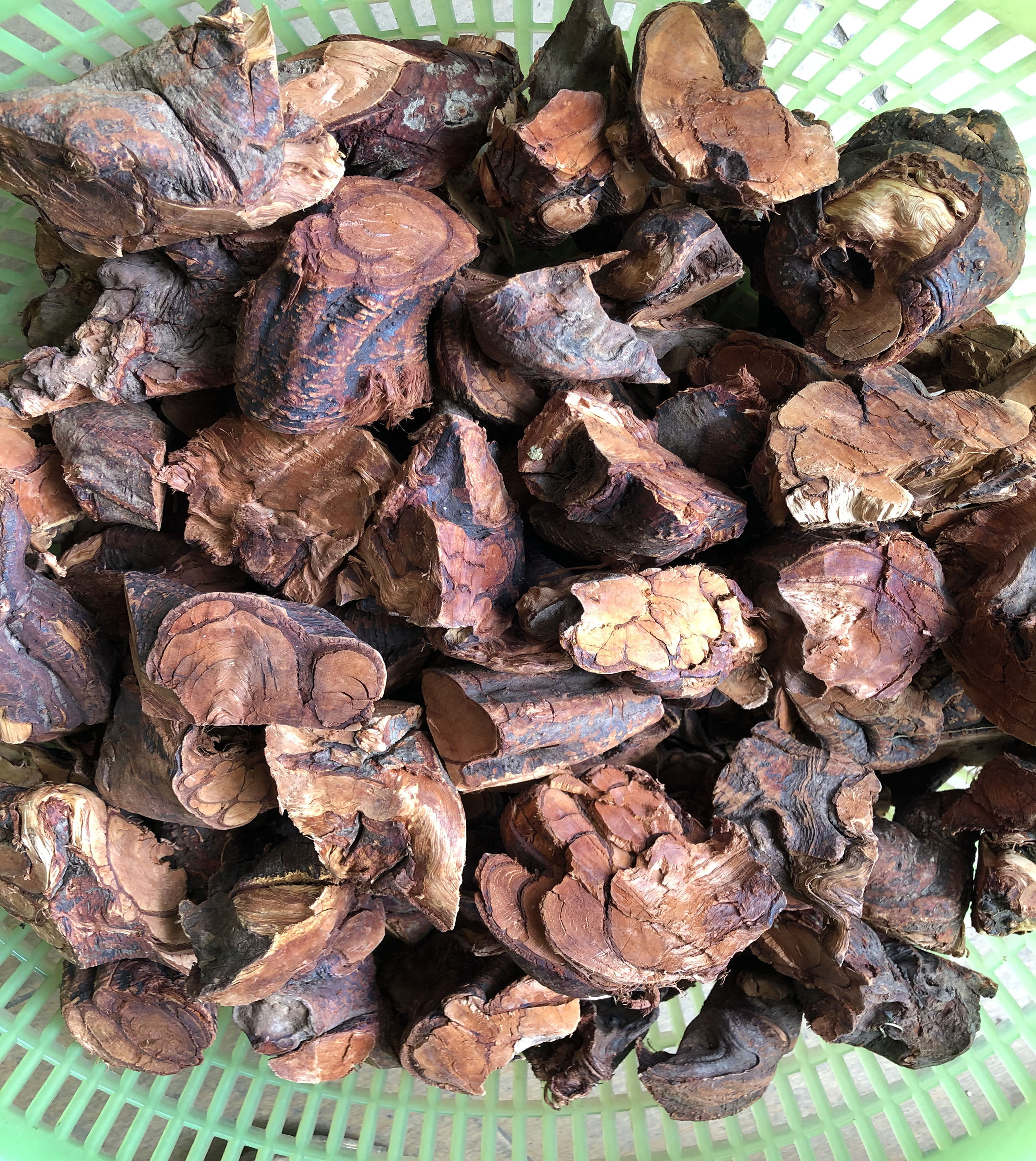 1Kg KIẾU NHIÊU LỴ