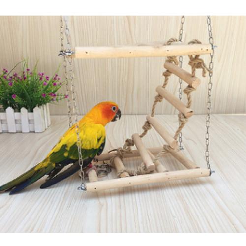 Xích đu thang leo cho vẹt