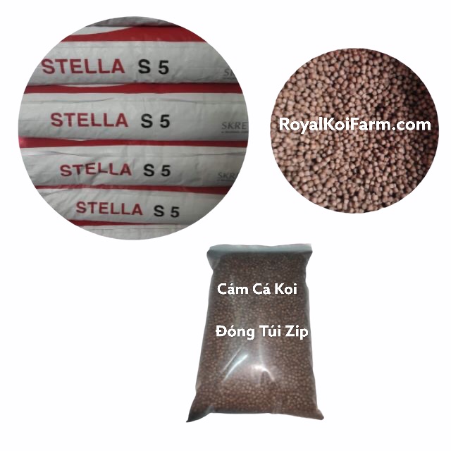 Combo 5Kg Cám Stella S5 Cám Cá Koi