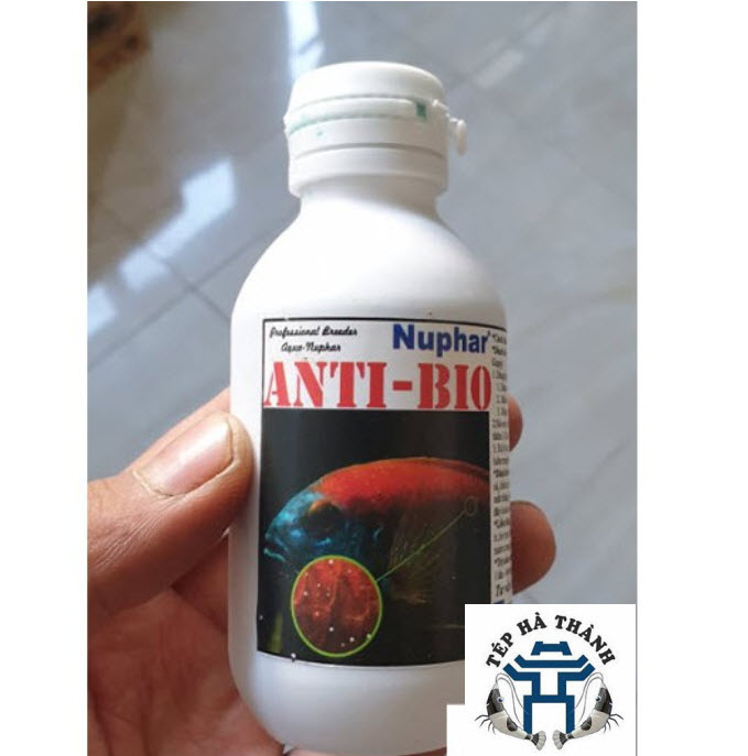 Anti bio nuphar - dung dịch xử lý túm và lắc ở cá cảnh