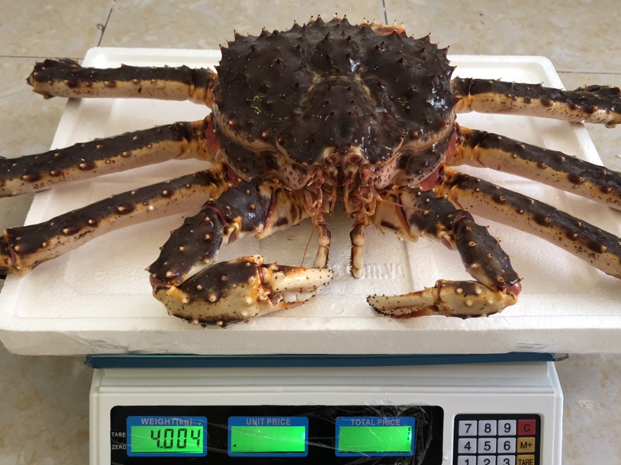 [HCM]Cân nhà bếp mini Bán cân điện tử nhà bếp Cân Điện Tử ACS Cao Cấp Kiểu Dáng Đẹp Nhỏ Gọn Tích Hợp Tính Năng Tính Tiền Thông Minh Cân Max 40kg  Cân Nhanh Chính Xác.