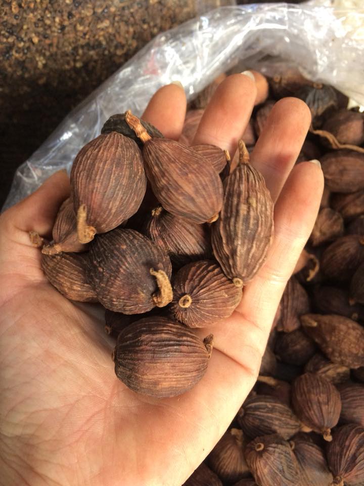 Thảo Quả Khô