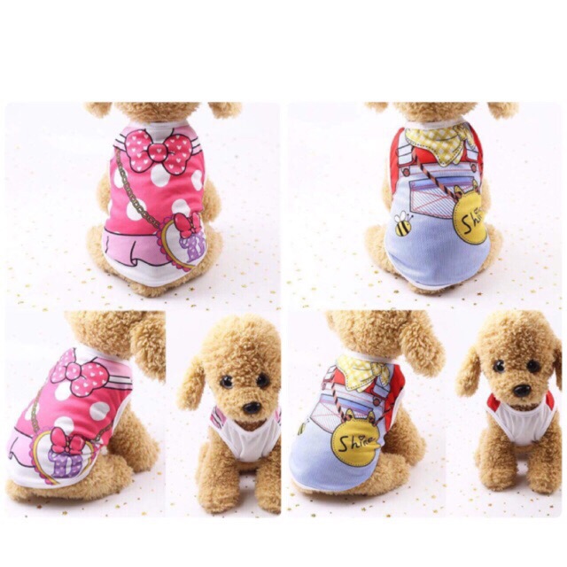 [HCM]Quần áo thú cưng - quần áo chó mèo hình cute sản phẩm đa dạng về mẫu mã kích cỡ màu sắc chất lượng tốt cam kết hàng giống với mô tả