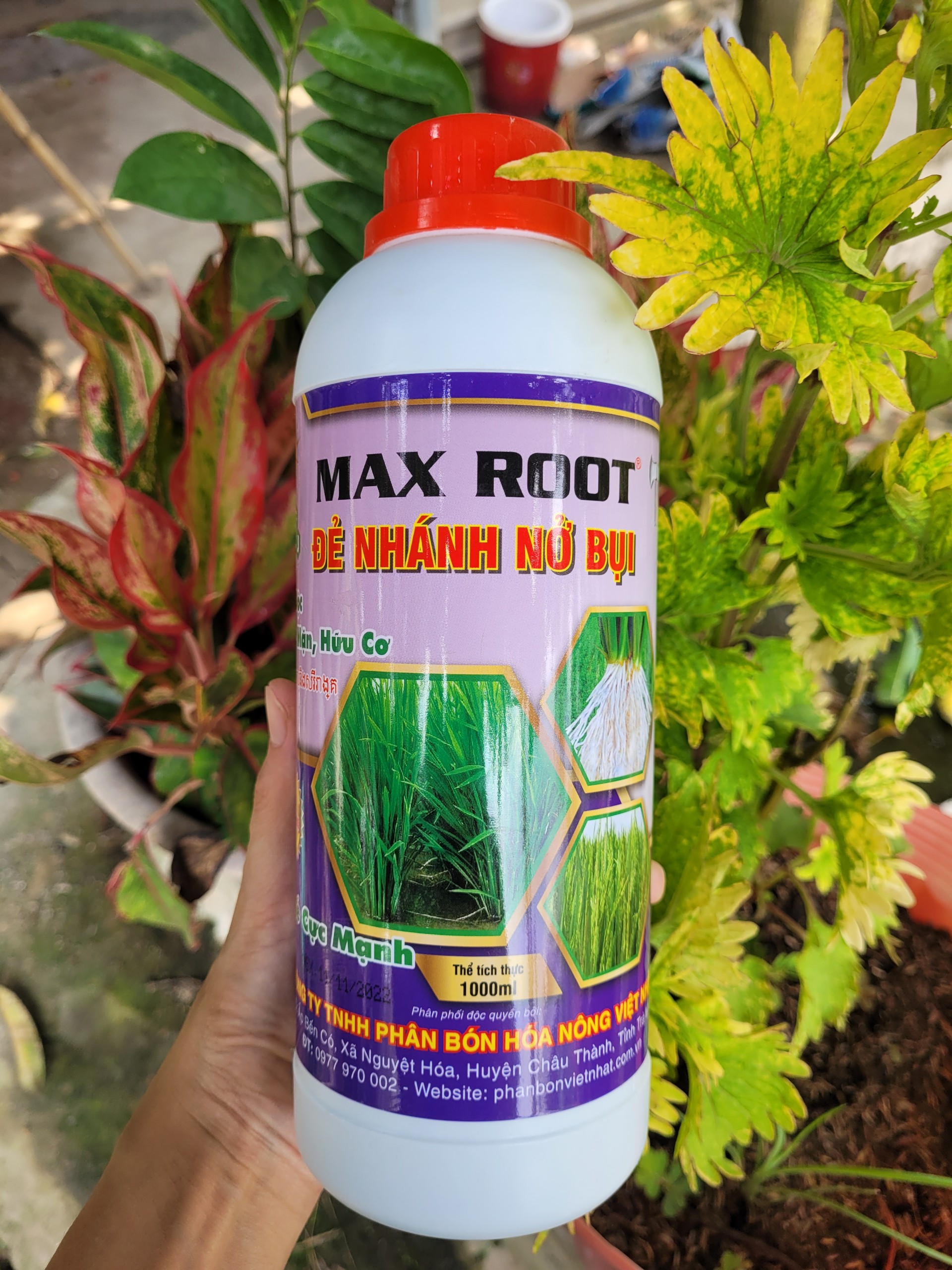 Phân bón lá đẻ nhánh, nở bụi max root giúp ra rễ, tăng đẻ nhánh, giải độc phèn, mặn, hữu cơ chai 1 lít_vtnn trung thien thinh