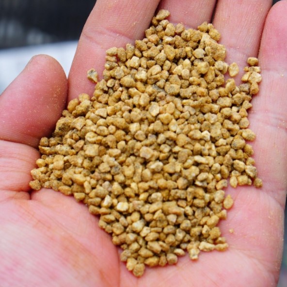 ĐÁ MASATO HÀN QUỐC RẢI MẶT CHẬU SEN ĐÁ, XƯƠNG RỒNG