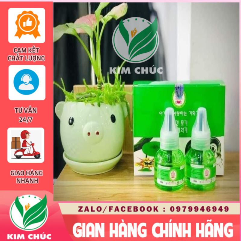 10 lọ dầu đuổi muỗi