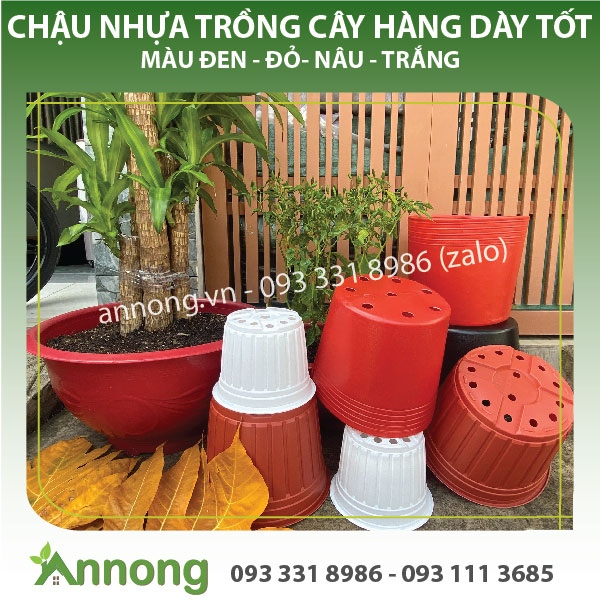 Combo 10 chậu nhựa trồng cây c6 đến c11 - chậu nhựa dẻo đen, đỏ