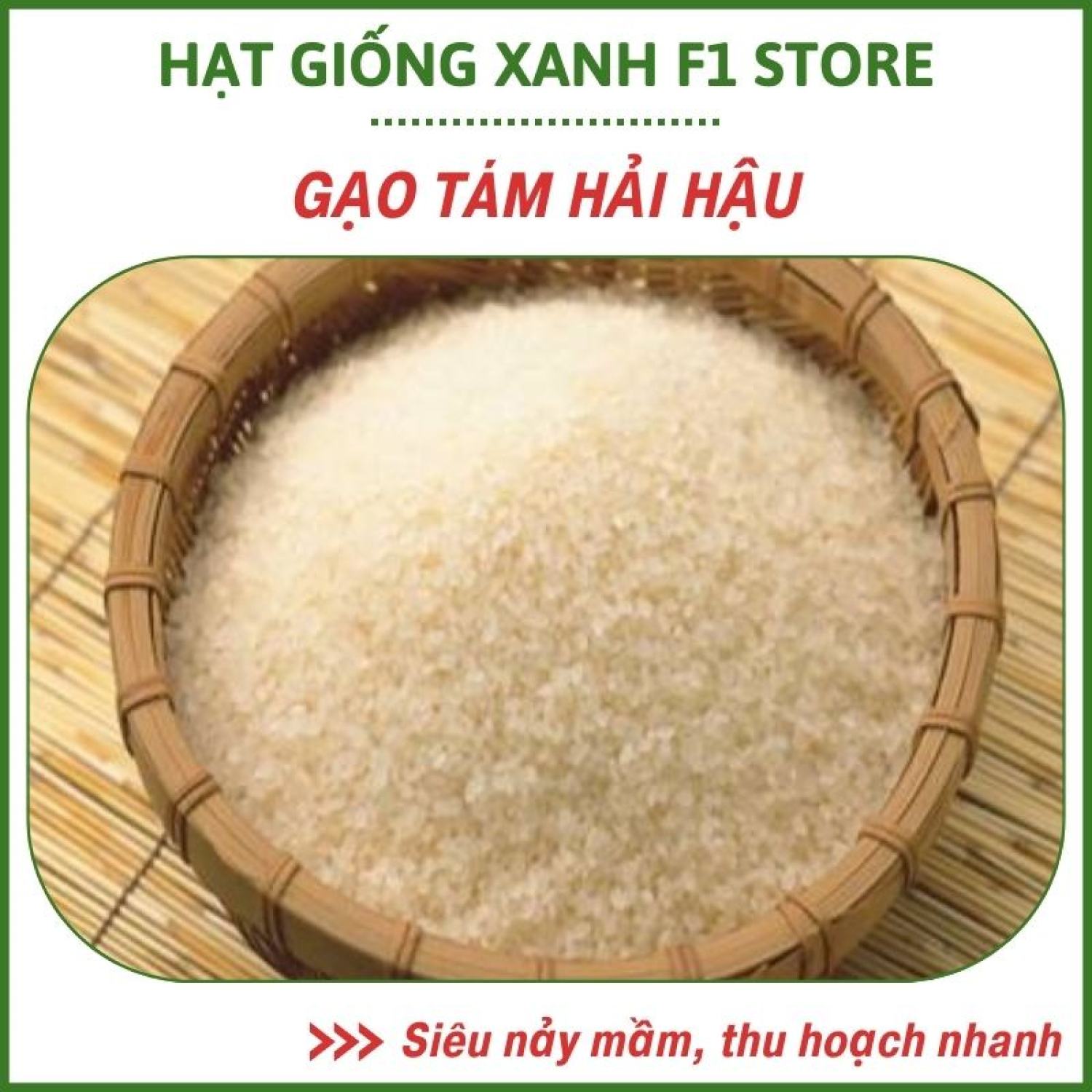 Gạo tám Hải Hậu có mùi thơm tự nhiên và rất giàu giá tɾị dinh dưỡng