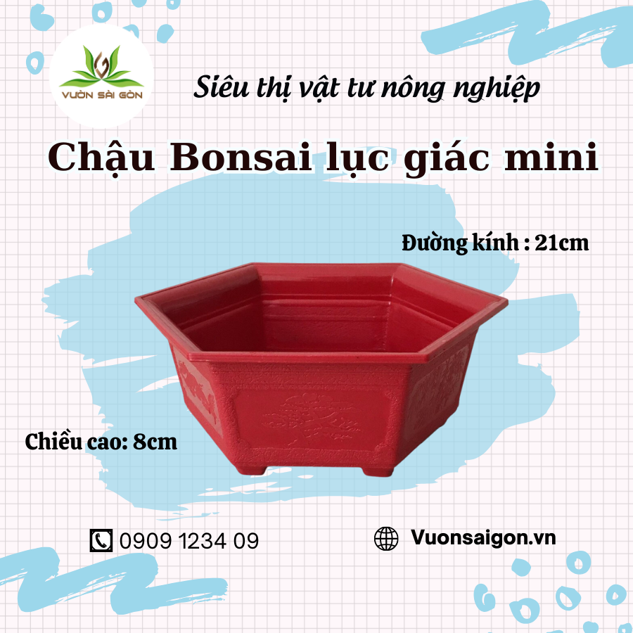 (Combo 3 chậu) Chậu bonsai lục giác Mini (21cmX8cm) - dùng trồng cây bonsai mini (Vườn Sài Gòn) chậu nhựa bền đẹp