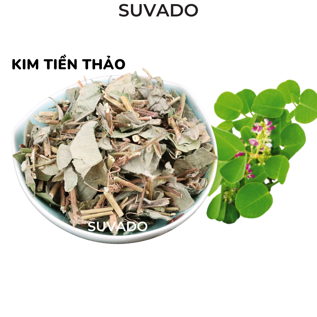 Kim tiền thảo khô xanh thơm đã làm sạch làm trà kim tiền thảo không vụn KTT SUVADO