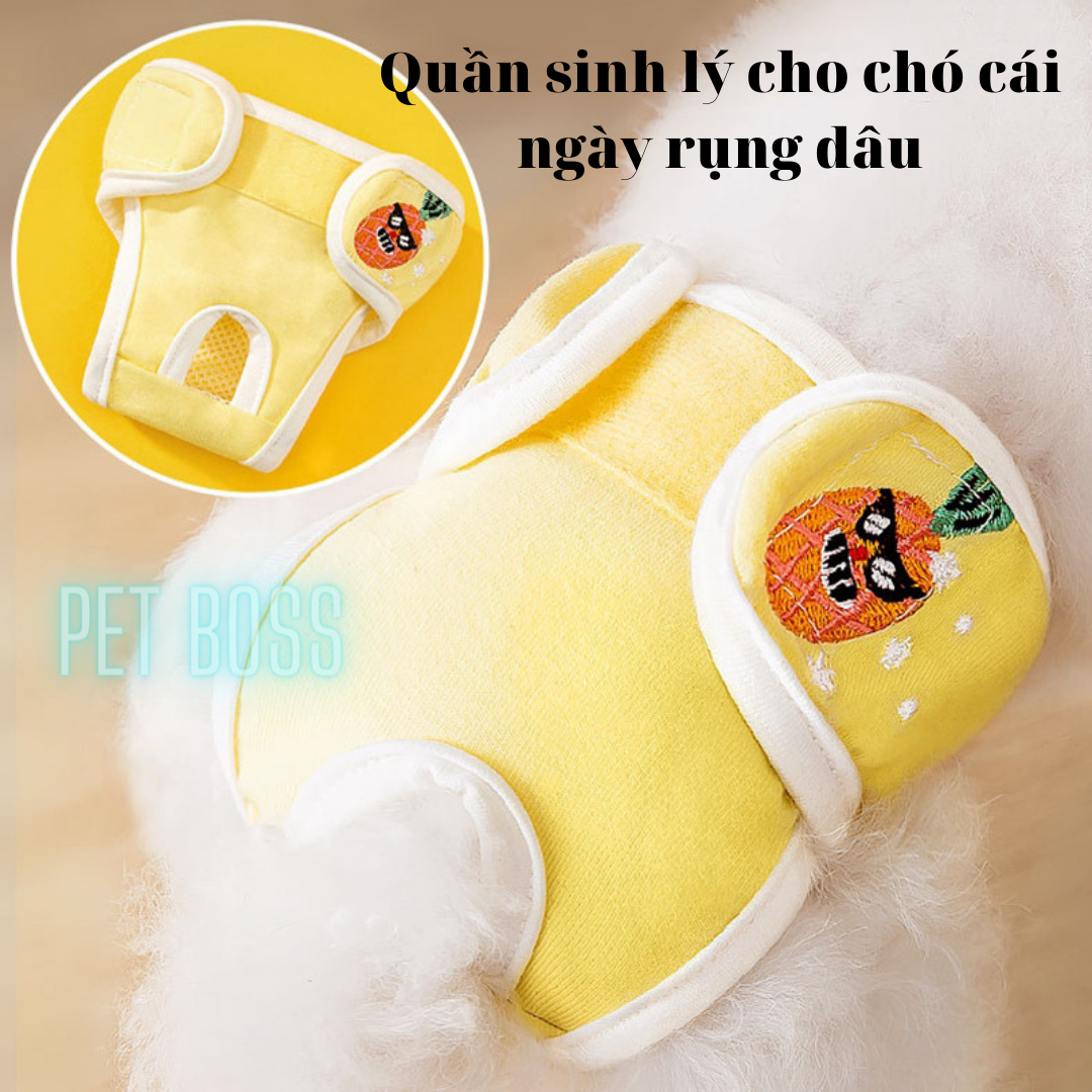 Quần sinh lý cho chó cái, quần chip chó mèo thú cưng ngày rụng dâu