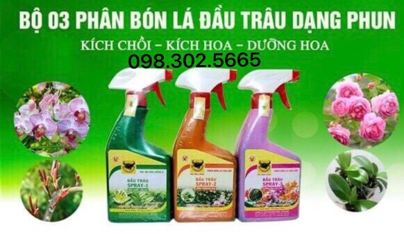 BỘ PHÂN BÓN LÁ ĐẦU TRÂU 501 701 901 DẠNG PHUN