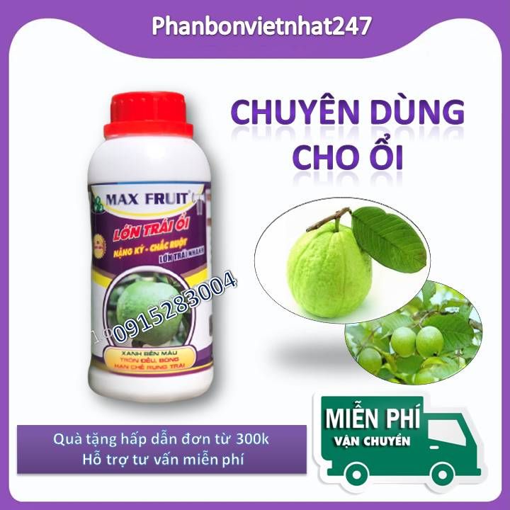 Phân bón lớn trái ổi 500ml