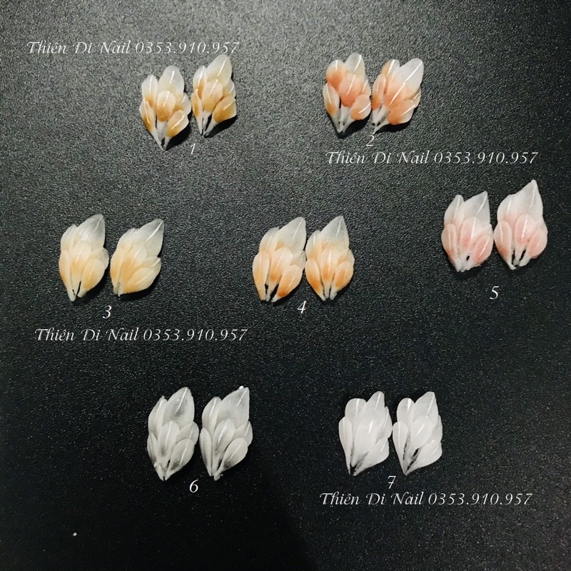 Hoa bột nail gắn móng tay hoa cúc góc tay - nail samsam