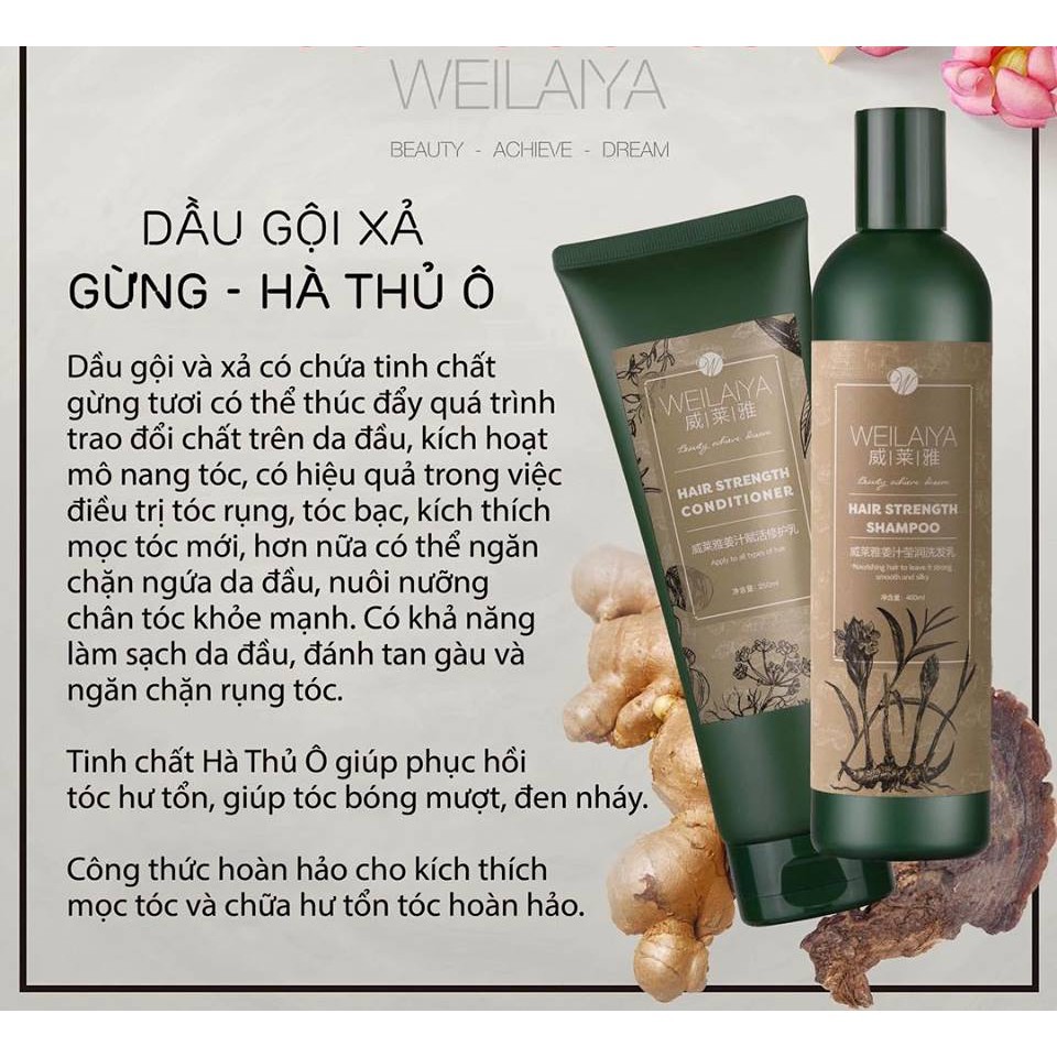 Bộ dầu gội đầu xả HÀ THỦ Ô TEM XÁM Weilaiya tinh chất gừng hỗ trợ móc tóc và ngừa rụng tóc - Hàng chính hãng mẫu mới