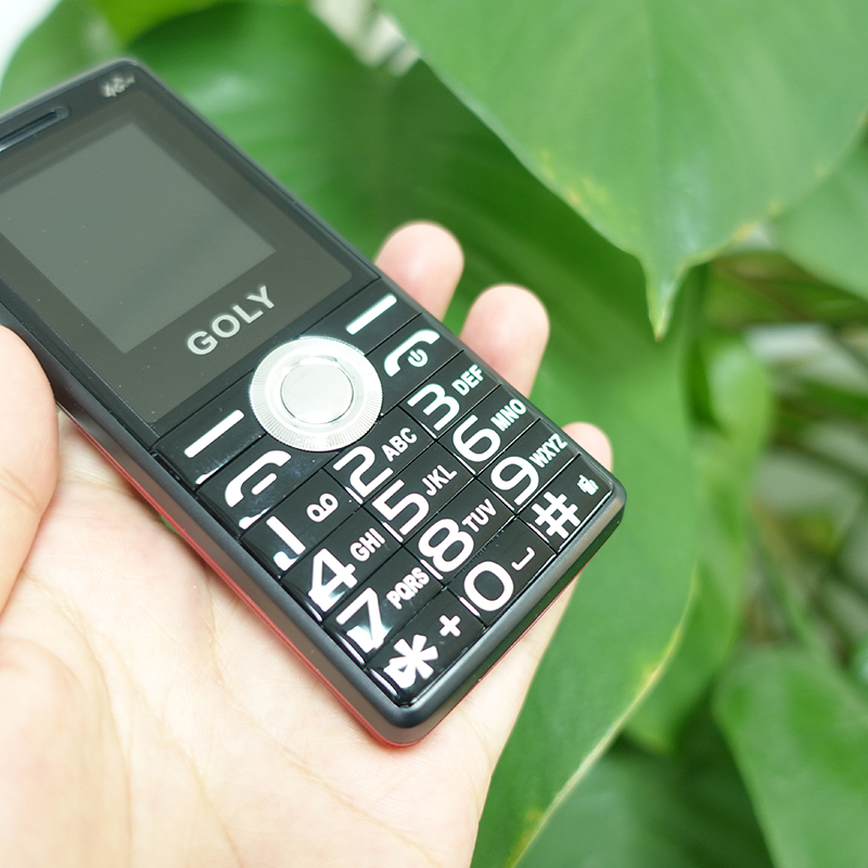 Điên thoại giá rẻ goly Base 17pro 4G Âm nhạc Lớn tiếng Điện thoại di động cho người già