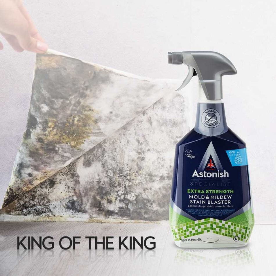 ASTONISH MOLD & MILDEW STAIN BLASTER / tẩy nấm mốc tường nhà tắm