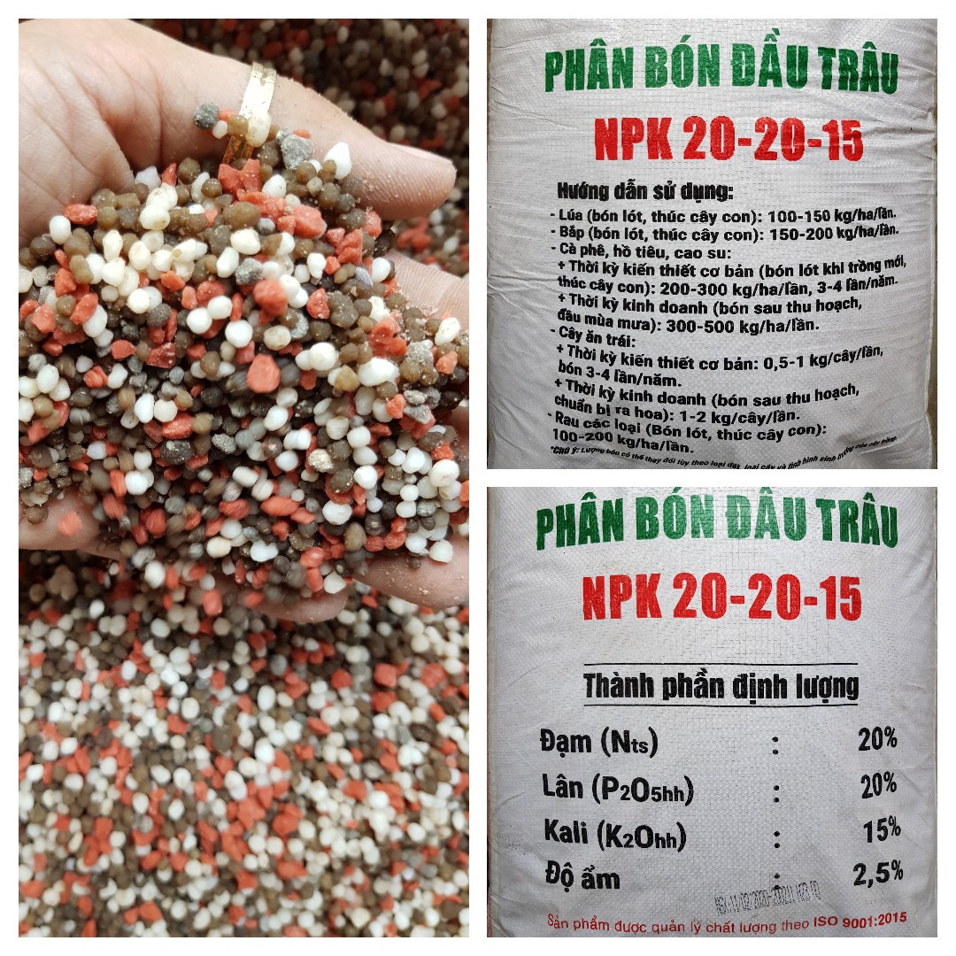 Phân 3 màu NPK 20-20-15 1 kg ra hoa đậu trái đầu trâu|Minh Hân Garden